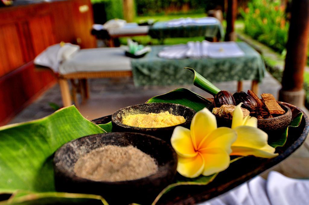 Hotel Villa Ubud Zewnętrze zdjęcie